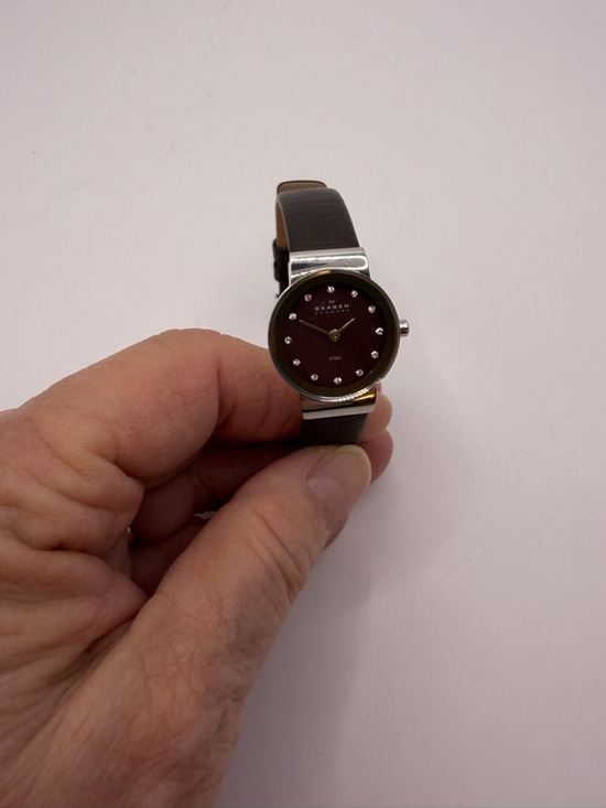 Skagen Brown and Silver Tone Watch main image 3